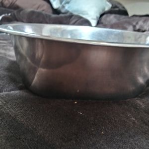 Lg breed food/water bowl mint condition